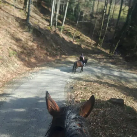 Feriehus Osada Konna Assanya Assanya *