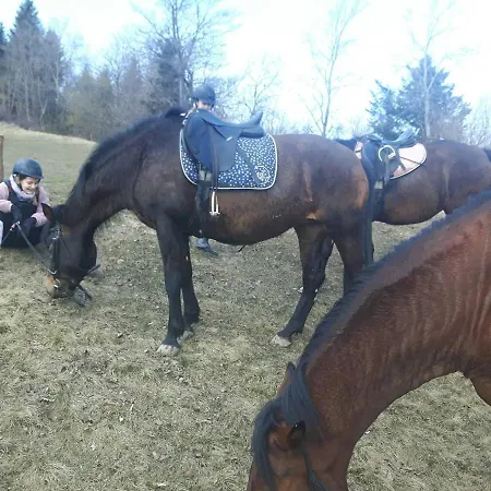 Feriehus Osada Konna Assanya Assanya