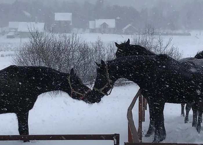 Osada Konna Assanya Assanya Casa vacanze